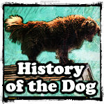 Alcoholics Anonymous History of Dog On The Roof Group